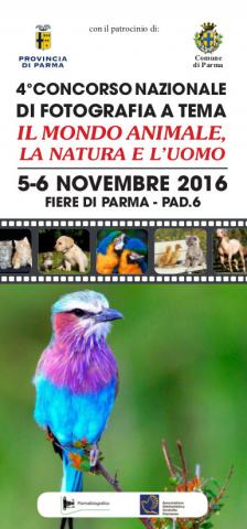 concorso di fotografia