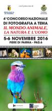 concorso di fotografia